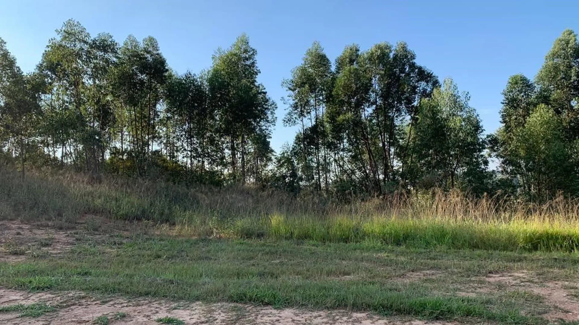 Terreno em Condomínio para Venda