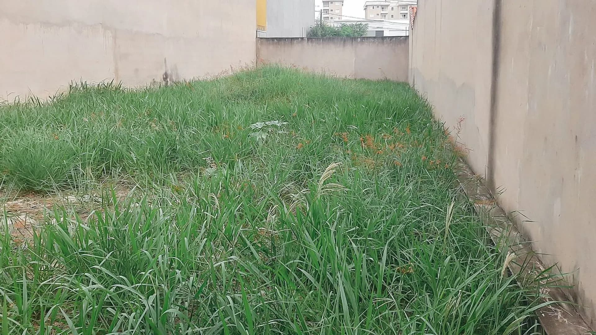 Terreno em Bairro para Venda