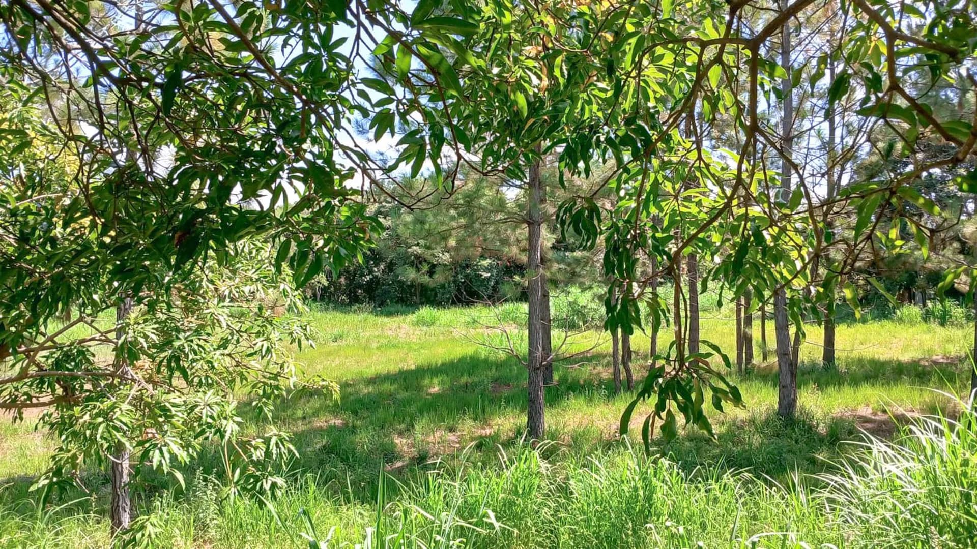Terreno em Condomínio para Venda