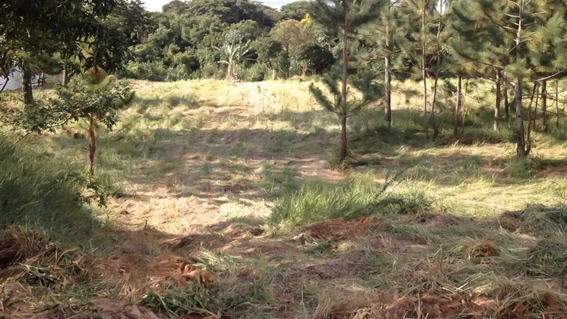 Terreno em Condomínio para Venda