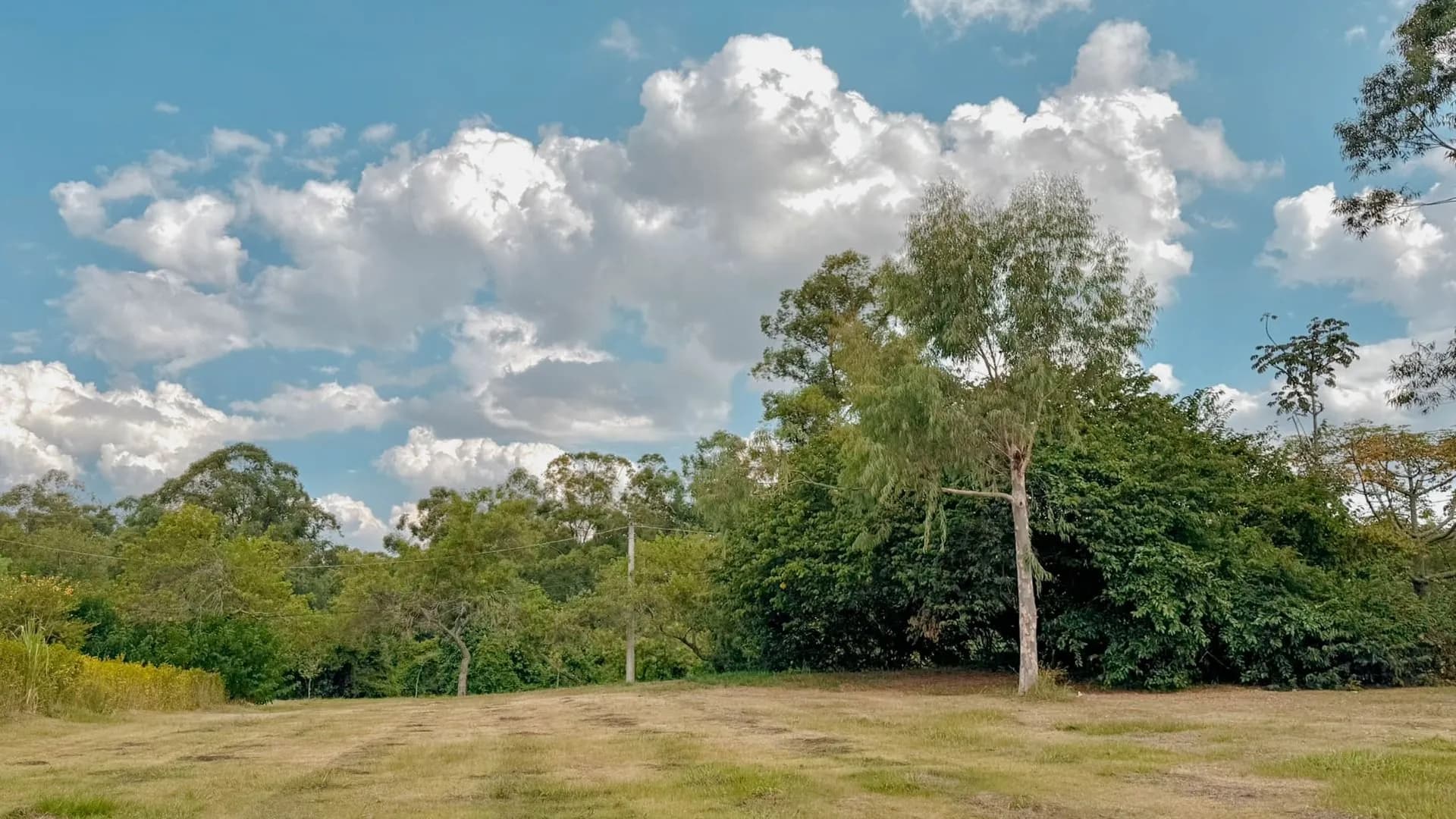 Terreno em Condomínio para Venda