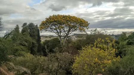 Propriedade Rural para Venda