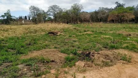 Terreno em Bairro para Venda