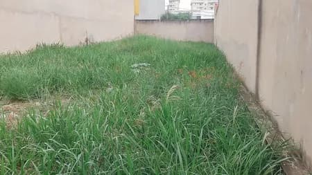 Terreno em Bairro para Venda