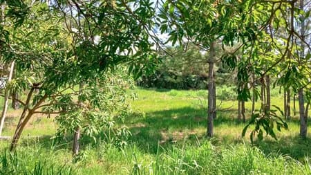 Terreno em Condomínio para Venda