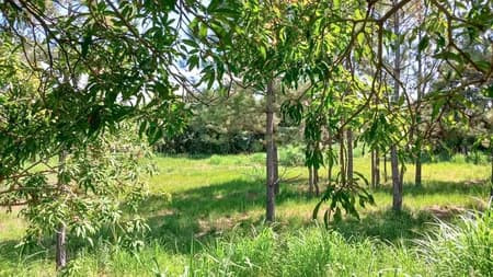 Terreno em Condomínio para Venda