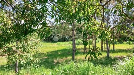 Terreno em Condomínio para Venda